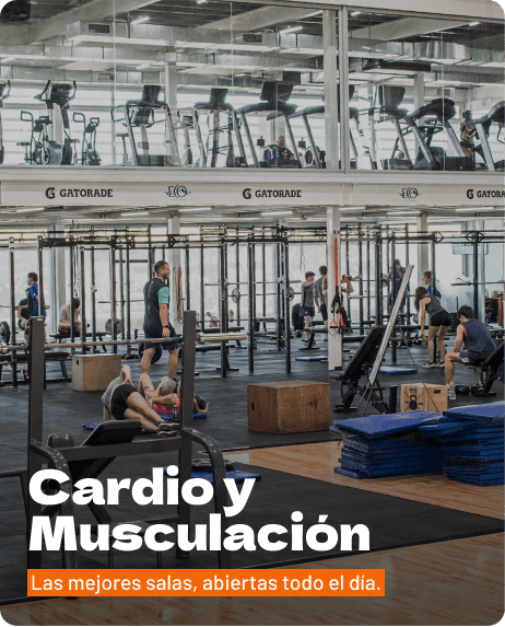 Cardio y Musculación - I Feel Good Gym - Dow Center