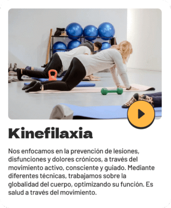 Kinefilaxia