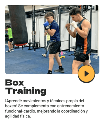 Box Training